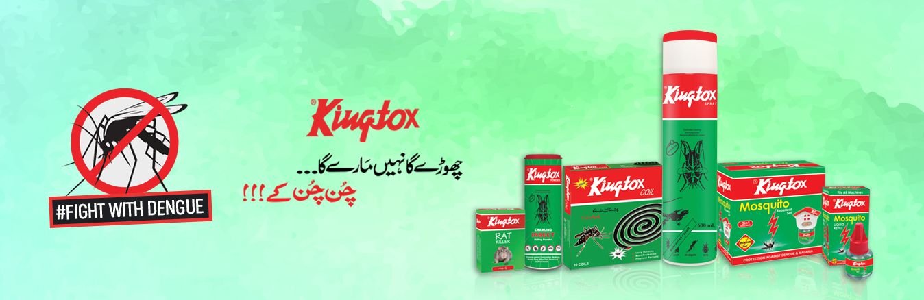 Kingtox Insect Killer Aerosol Spray